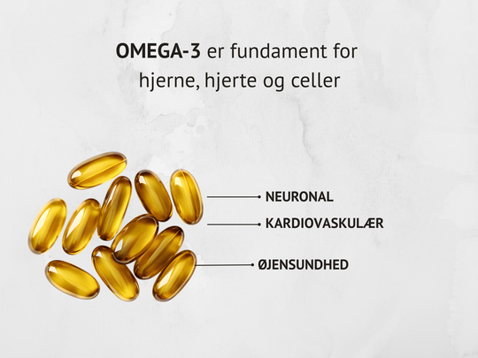 Omega 3